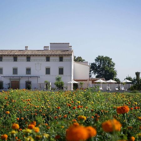 Hotel La Mozaira Alboraia Zewnętrze zdjęcie